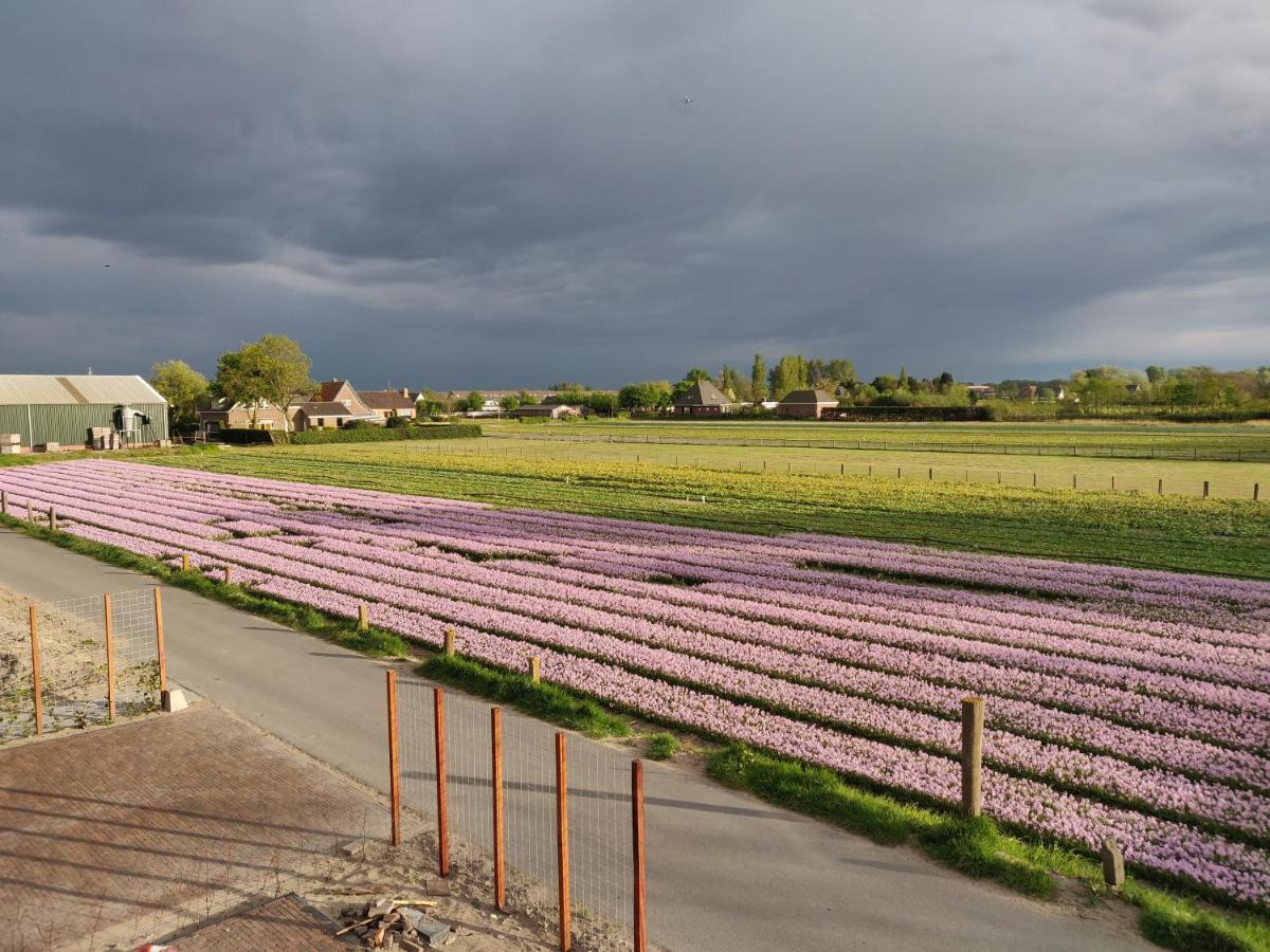 Tulpenhoek Akersloot Exterior foto